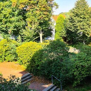 Das ist der Blick aus dem Gemeinschaftshaus auf den Eingangsbereich von der Lindenstraße her.